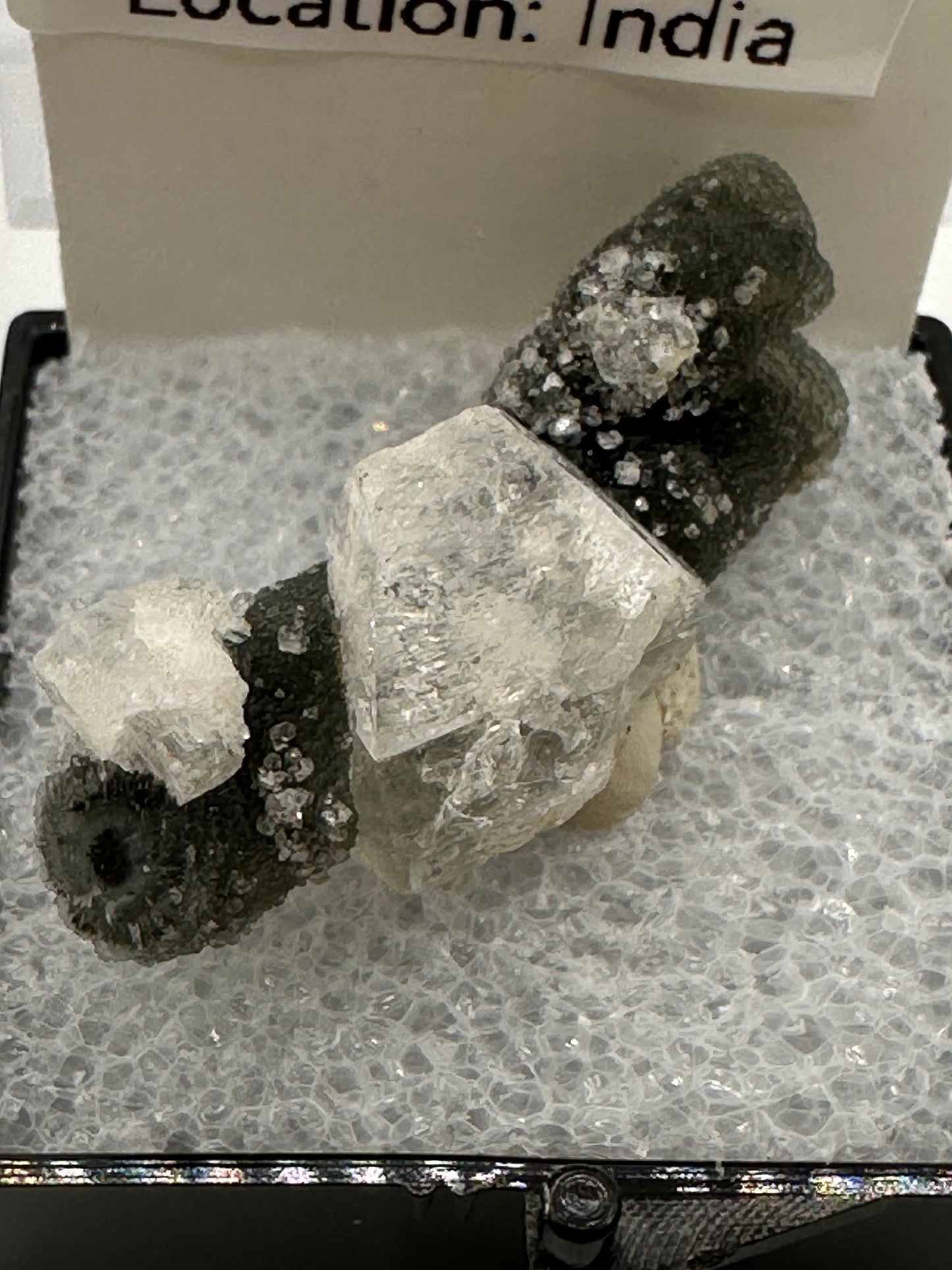 Black Chalcedony in Box