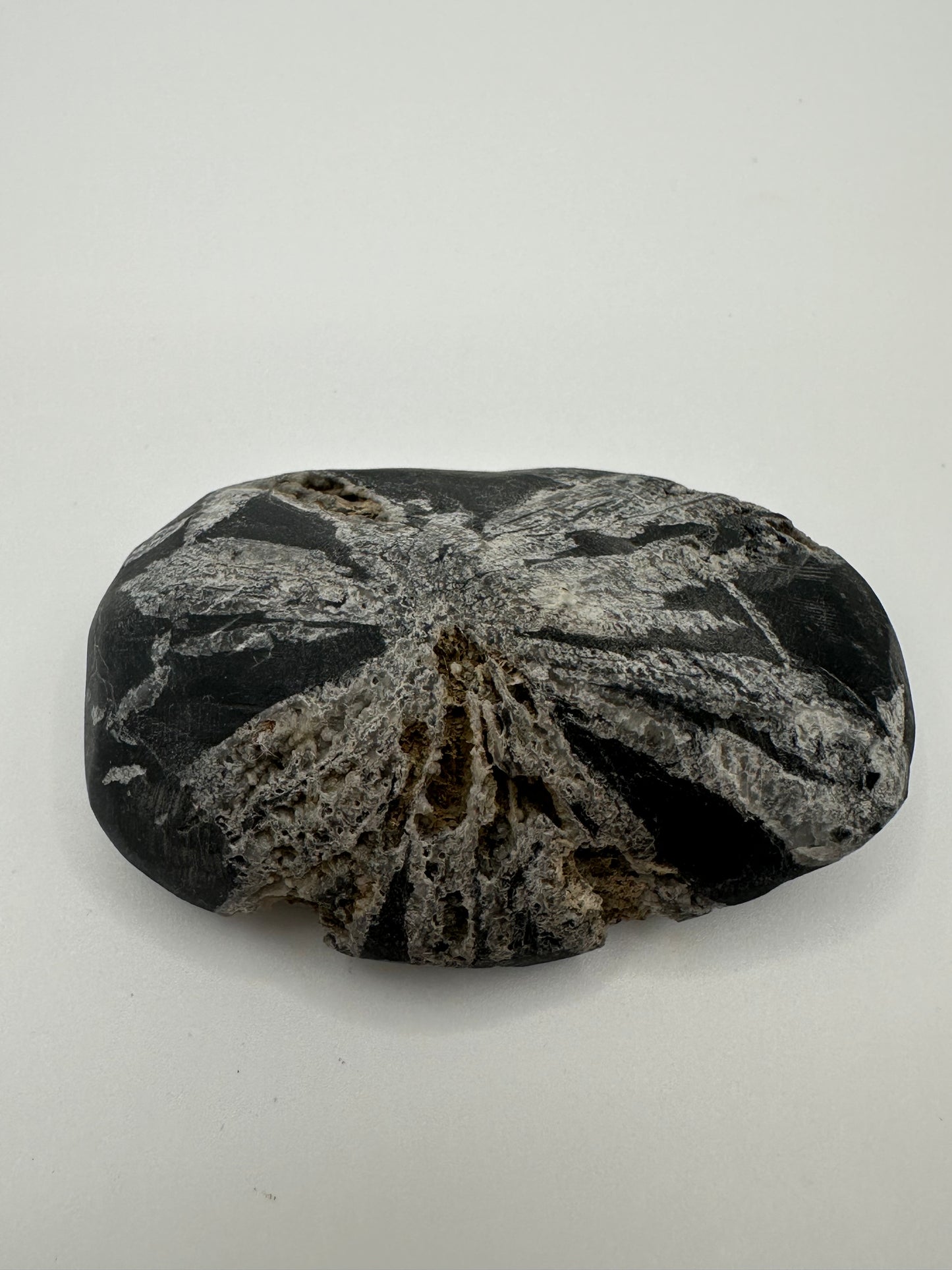 Chrysanthemum stone