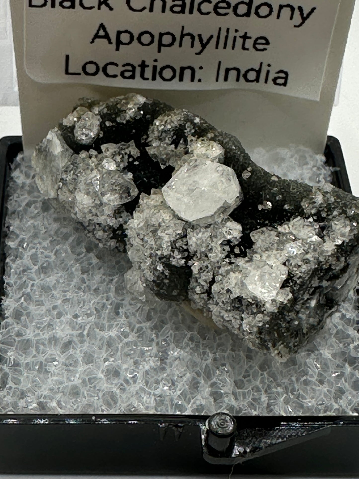 Black chalcedony in perky box