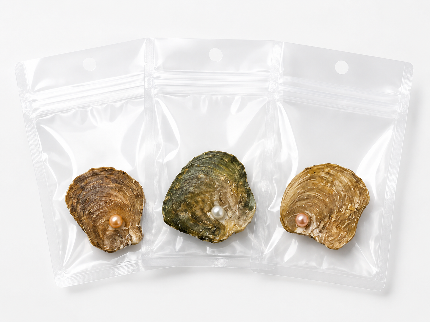 Open Your Own Oyster