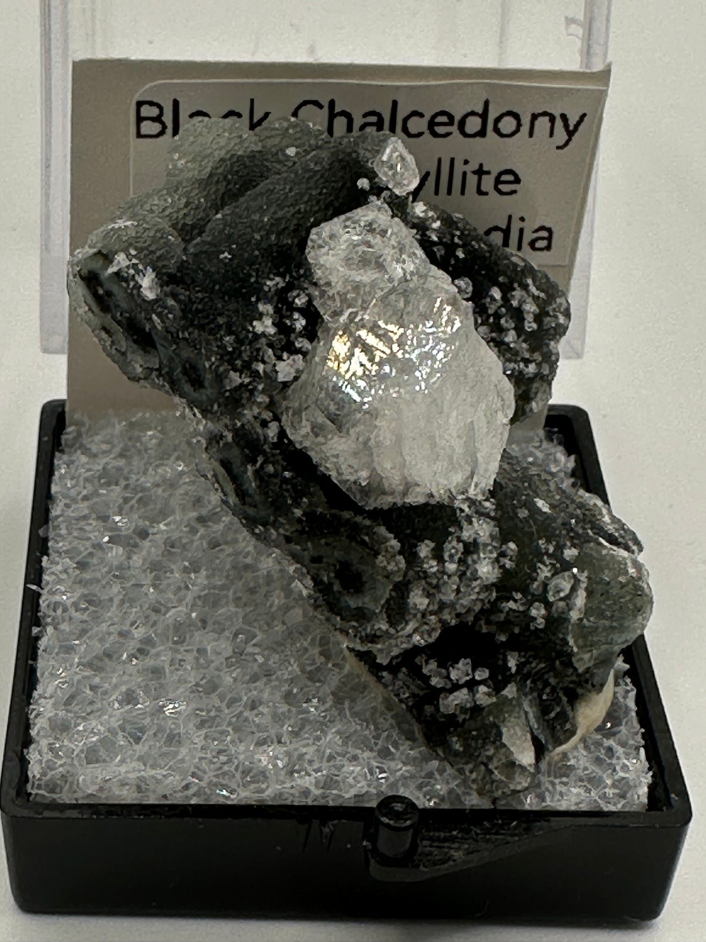 Black chalcedony in Perky Box