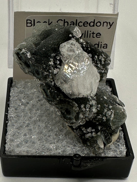 Black chalcedony in Perky Box