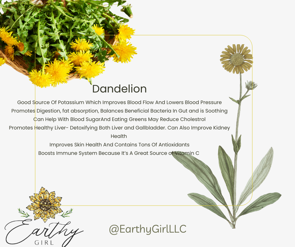 Dandelion Leaf