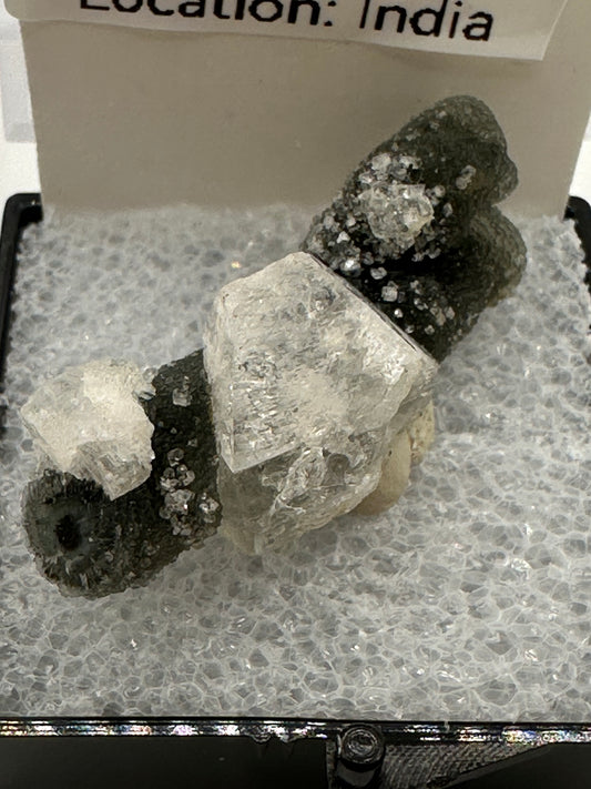 Black Chalcedony in Box