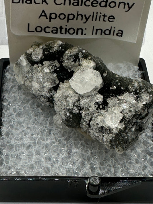 Black chalcedony in perky box