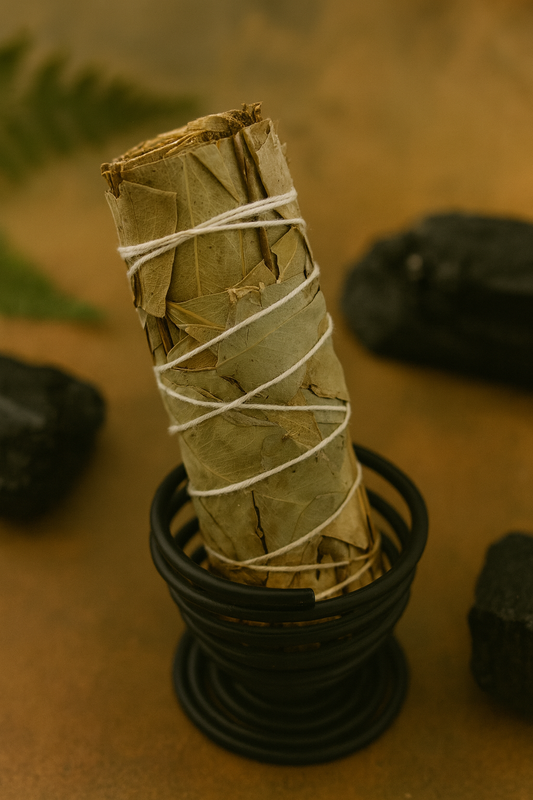 Metal Spiral Smudge Holder